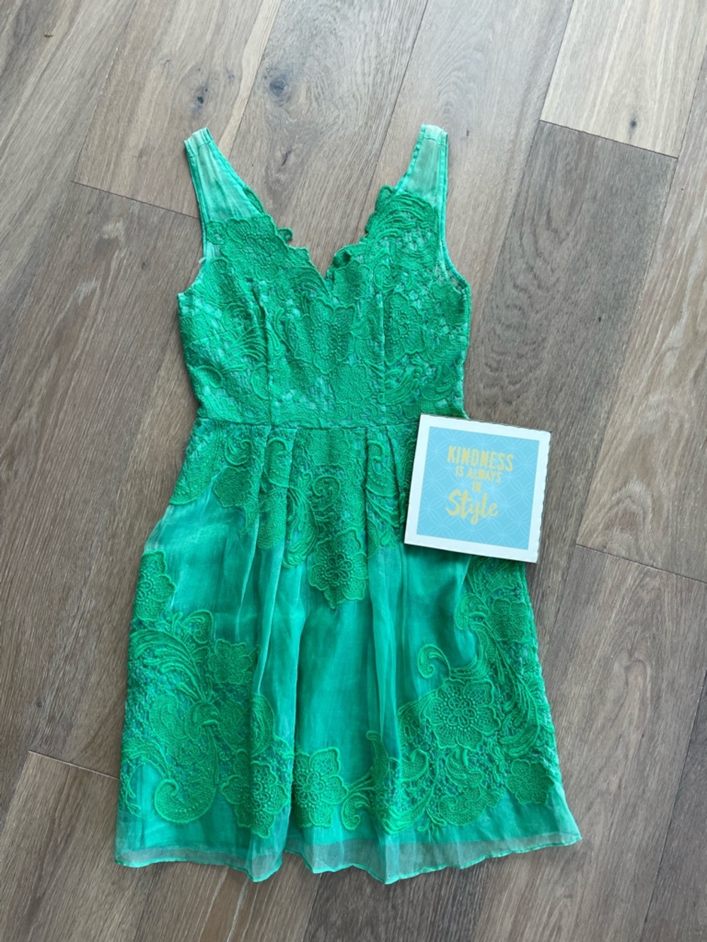 Yoana Baraschi (Anthro) Fit & Flare Delicate Green Dress